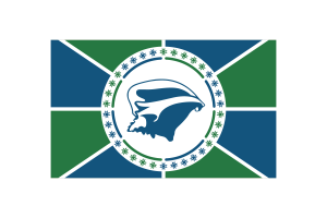 Martinique Flag Vector Illustration flag