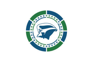 Martinique Flag Circle Vector Free flag