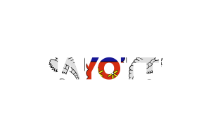 Mayotte Text Art flag