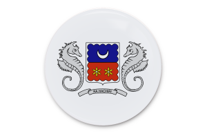 Mayotte Flag Vector Art flag