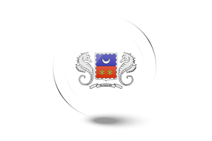 Mayotte Flag Glossy Round Button flag