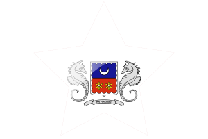 Mayotte Flag Star Icon flag