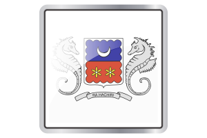 Mayotte Flag Square icon flag