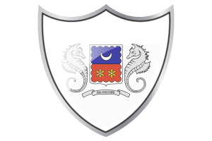 Shield with Flag of Mayotte flag