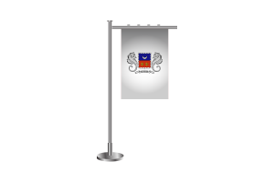 3d Mayotte Standing Flag flag