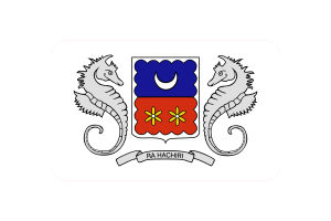 Mayotte Flag Triangle Vector Illustration flag