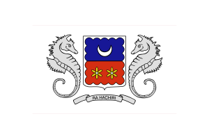 Mayotte Flag Vector Illustration flag