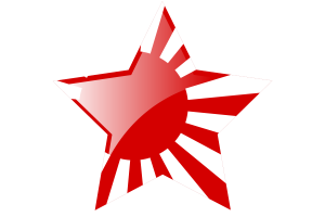Rising Sun Flag Star Icon flag