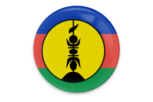 New Caledonia Flag Vector Art flag