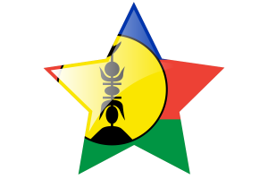 New Caledonia Flag Star Icon flag