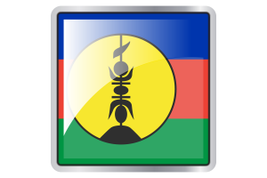 New Caledonia Flag Square icon flag