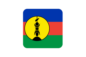 New Caledonia Flag Square Rounded Shape flag