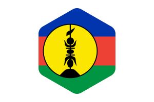 New Caledonia Flag Rounded Hexagon Shape flag