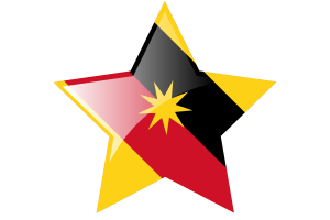Sarawak Flag Star Icon flag