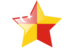 Selangor Flag Star Icon flag