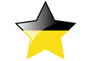 Baden-Württemberg Flag Star Icon flag