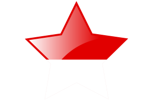 Hessen Flag Star Icon flag