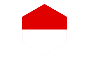 Hessen Flag Hexagon Shape flag