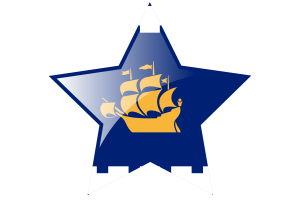 Quebec Flag Star Icon flag