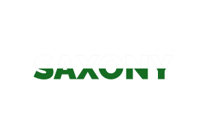 Saxony Text Art flag
