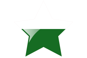 Saxony Flag Star Icon flag