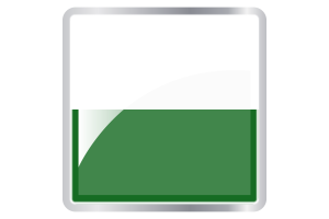 Saxony Flag Square icon flag