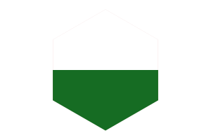 Saxony Flag Hexagon Shape flag