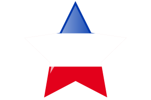 Schleswig-Holstein Flag Star Icon flag