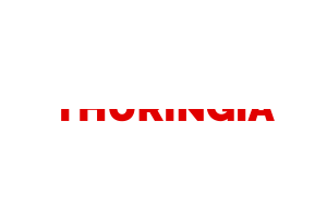 Thuringia Text Art flag