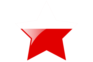 Thuringia Flag Star Icon flag