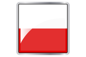 Thuringia Flag Square icon flag