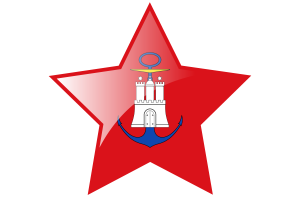 Hamburg Flag Star Icon flag