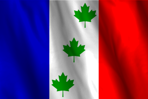 National Flag of Saint-Éphrem-de-Beauce flag
