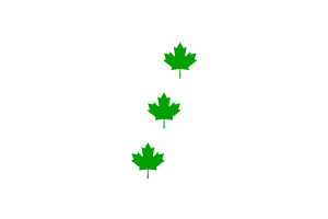 Emblem of Saint-Éphrem-de-Beauce flag