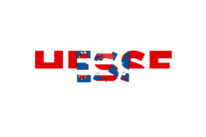 Hesse Text Art flag