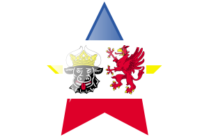 Mecklenburg-Western Pomerania Flag Star Icon flag
