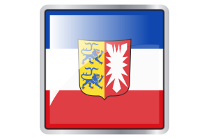 Schleswig-Holstein Flag Square icon flag