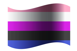 Gender Fluid Flag flag