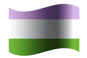 Genderqueer Flag flag