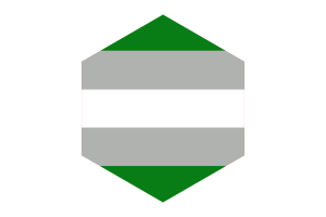 Greyromantic Flag Hexagon Shape flag