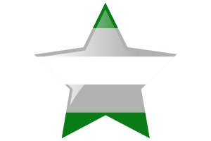 Greyromantic Flag Star Icon flag