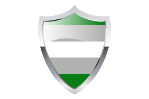 Greyromantic Flag with Medieval Heater Shield flag