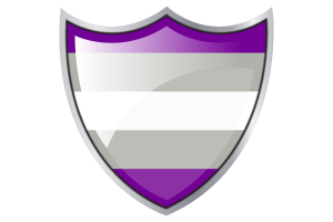 Tarcza z flagą greyromantyczną flag