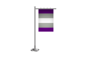 3D stojąca flaga greyromantyczna flag