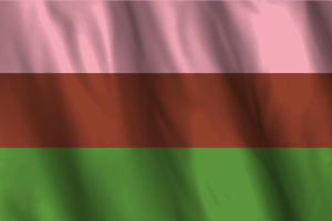 National Flag of Gynosexual flag