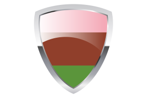 Gynosexual Shield Flag flag