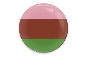 Gynosexual Flag Vector Art flag