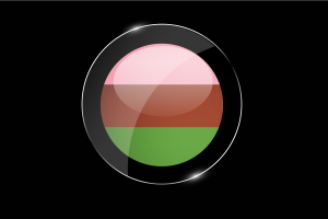 Gynosexual Flag Glossy Round Button flag