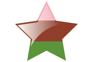 Gynosexual Flag Star Icon flag