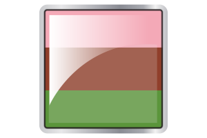 Gynosexual Flag Square icon flag